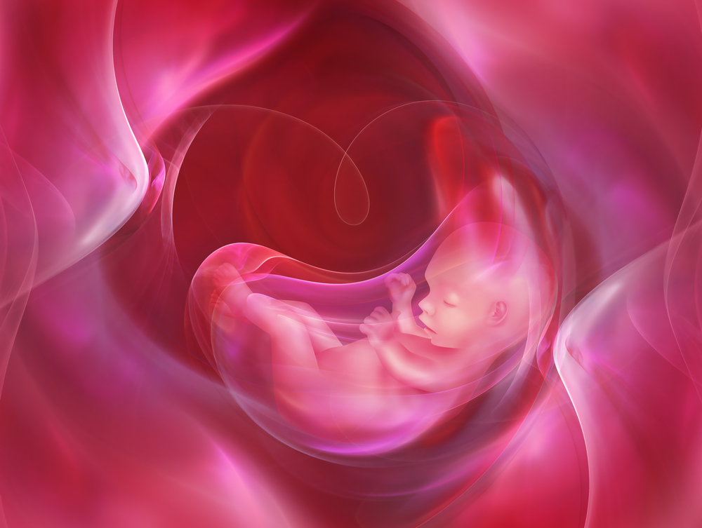 Kehamilan Dengan Plasenta Previa